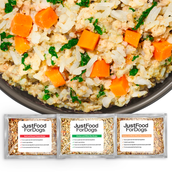 Best Sellers Variety Pack Medium Box JustFoodForDogs